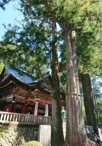 三峯神社の本殿