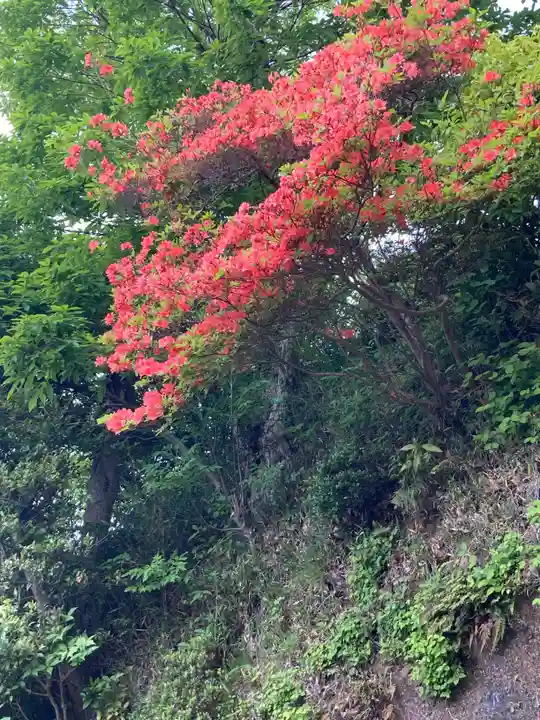 仏行寺(佛行寺)(神奈川県)