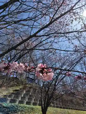 厚別神社(北海道)