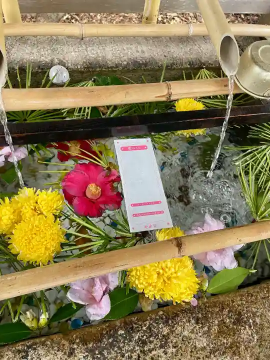 愛染明王堂の{uncategorized: "未分類", other: "その他", undefined: "問題あり", building: "その他建物", grave: "お墓", sacred_gate: "鳥居", guardian: "狛犬", statue: "像", buddha: "仏像", history: "歴史", nature: "自然", garden: "庭園", animal: "動物", pagoda: "塔", temizu: "手水舎", mountain_gate: "山門・神門", sanctuary: "本殿・本堂", subordinate: "末社・摂社", art: "芸術", scenery: "景色", jizo: "地蔵", ema: "絵馬", goshuin: "御朱印", omikuji: "おみくじ", items: "授与品その他", amulet: "お守り", goshuincho: "御朱印帳", eats: "食事", festival: "お祭り", votive_dance: "神楽", shichigosan: "七五三参", wedding: "結婚式", experience: "体験その他", initially: "初詣", around: "周辺", anti_infection: "感染症対策"}