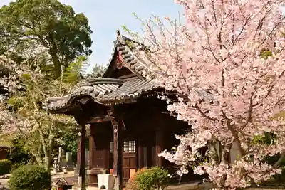 常信寺(愛媛県)