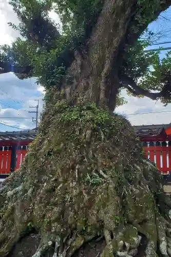 大将軍神社(滋賀県)