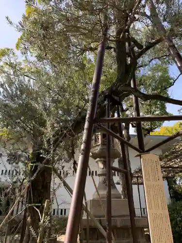 湊川神社(兵庫県)