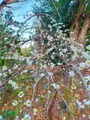 普門寺(和歌山県)