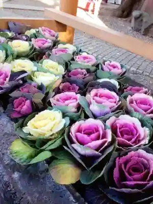 上目黒氷川神社(東京都)