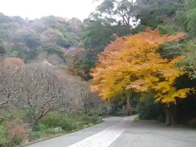 瑞泉寺のその他建物