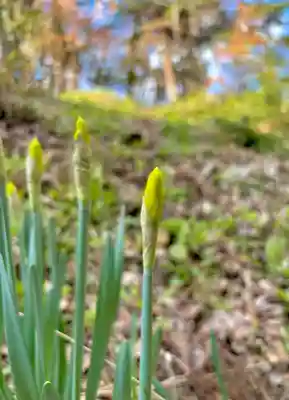 蚊里田八幡宮(長野県)