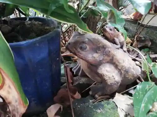 五反田不動教会の狛犬