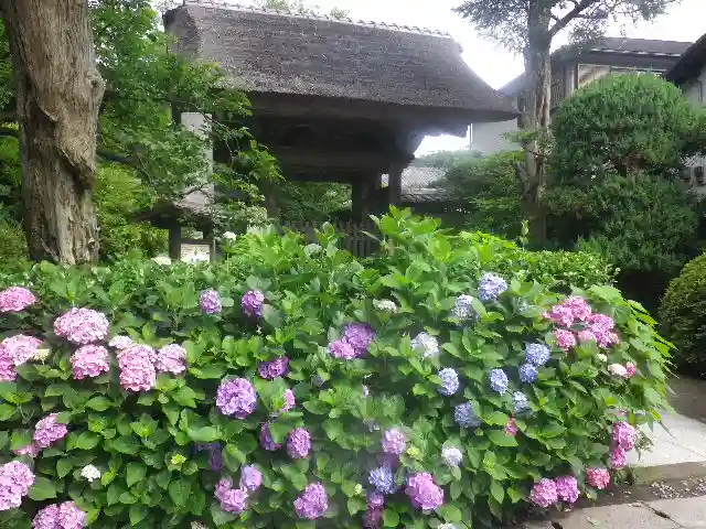 極楽寺(霊鷲山感應院極楽律寺)のその他建物