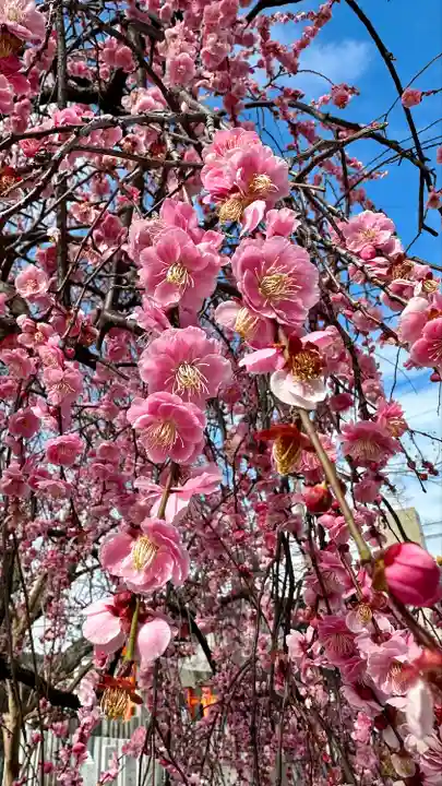 屯倉神社(大阪府)