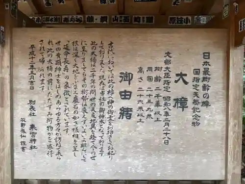 來宮神社の{uncategorized: "未分類", other: "その他", undefined: "問題あり", building: "その他建物", grave: "お墓", sacred_gate: "鳥居", guardian: "狛犬", statue: "像", buddha: "仏像", history: "歴史", nature: "自然", garden: "庭園", animal: "動物", pagoda: "塔", temizu: "手水舎", mountain_gate: "山門・神門", sanctuary: "本殿・本堂", subordinate: "末社・摂社", art: "芸術", scenery: "景色", jizo: "地蔵", ema: "絵馬", goshuin: "御朱印", omikuji: "おみくじ", items: "授与品その他", amulet: "お守り", goshuincho: "御朱印帳", eats: "食事", festival: "お祭り", votive_dance: "神楽", shichigosan: "七五三参", wedding: "結婚式", experience: "体験その他", initially: "初詣", around: "周辺", anti_infection: "感染症対策"}