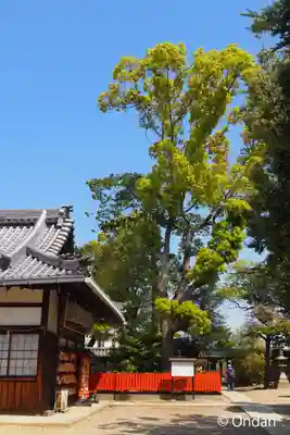 片埜神社のその他建物