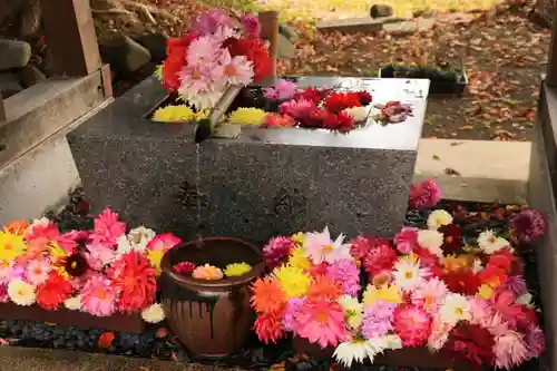 高司神社〜むすびの神の鎮まる社〜の手水