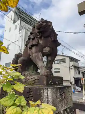 安井金比羅宮の狛犬