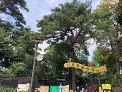 武蔵一宮氷川神社の周辺