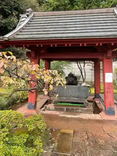寛永寺開山堂の手水舎