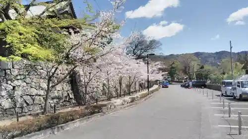 くろ谷 金戒光明寺の庭園