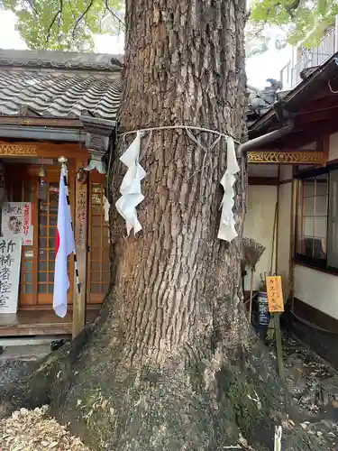 若一神社の自然