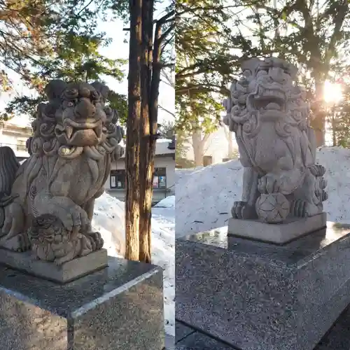 新琴似神社の狛犬