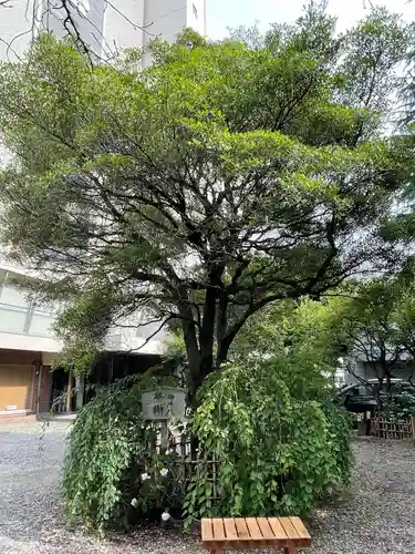 牛天神北野神社の庭園