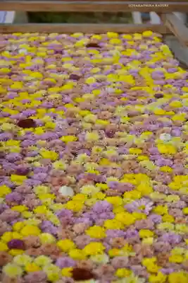 笠間稲荷神社(茨城県)