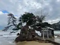 福島神社の鳥居