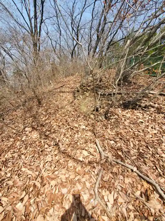 水道山神社(仮称)(栃木県)