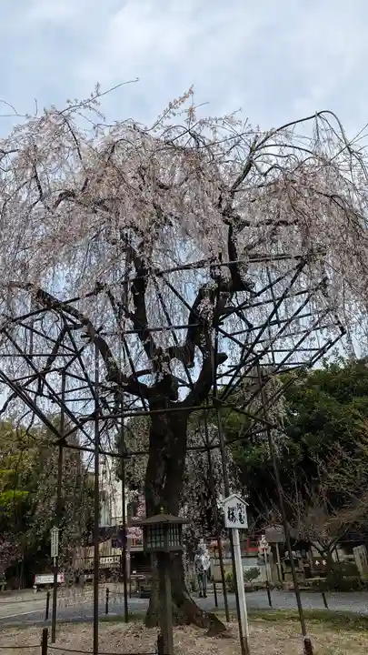 大報恩寺(千本釈迦堂)(京都府)