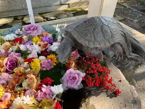 杉杜白髭神社(福井県)
