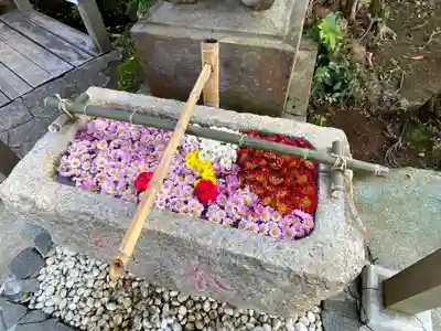横浜御嶽神社の手水舎