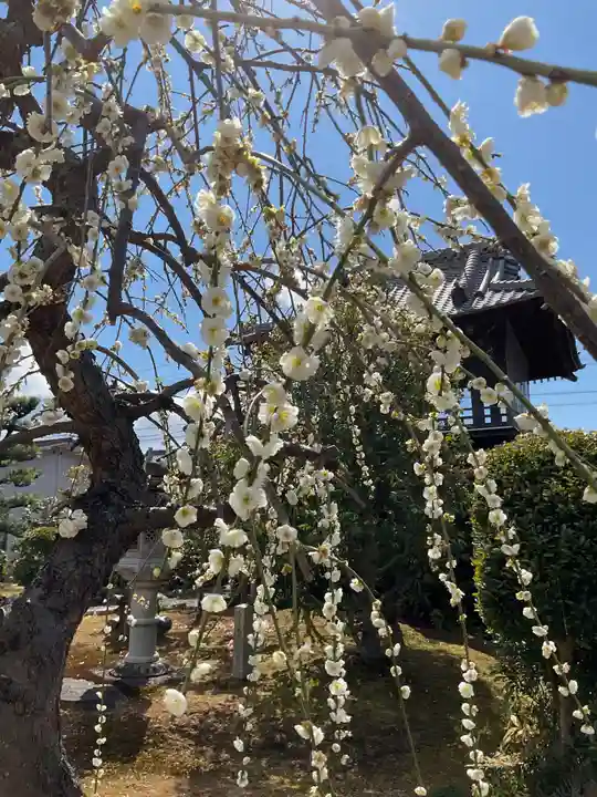 宗栄寺(愛知県)