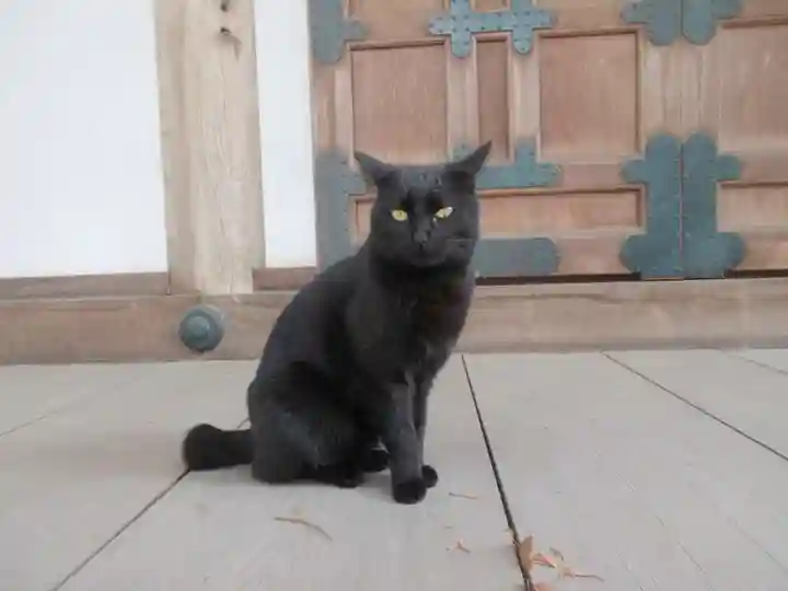 王禅寺(神奈川県)