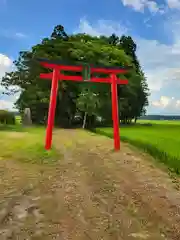 須賀八幡神社(宮城県)