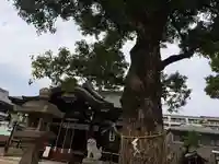 都留弥神社(大阪府)