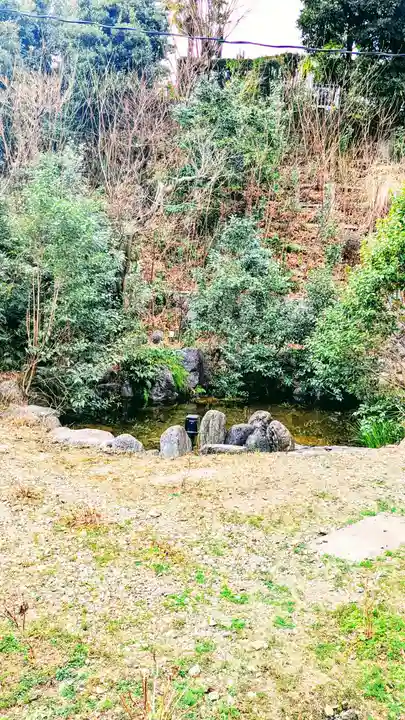 白金氷川神社の景色
