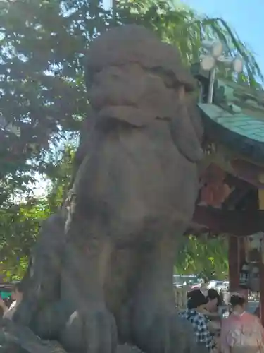 浅草神社の狛犬