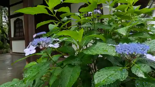 真正極楽寺（真如堂）(京都府)