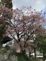 瑞応寺(神奈川県)