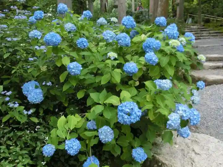 三千院門跡(京都府)