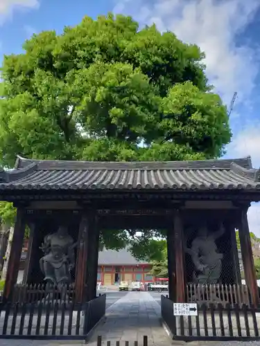 宝仙寺の山門・神門