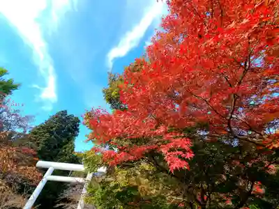 土津神社｜こどもと出世の神さまのその他建物