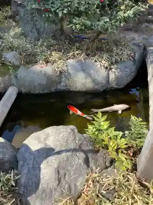 素盞雄神社(東京都)