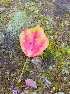 土津神社|こどもと出世の神さまの自然(2021年10月15日(金) 23時01分57秒投稿)