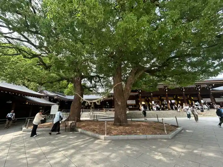 明治神宮(東京都)