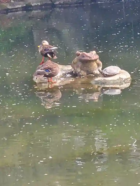 珊瑚寺(群馬県)