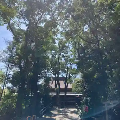 和泉國一之宮　大鳥大社のその他建物