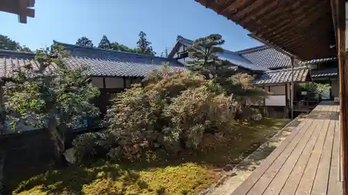 隨心院（随心院）(京都府)