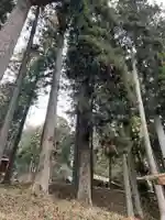 大宮温泉神社(栃木県)