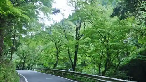 貴船神社の自然