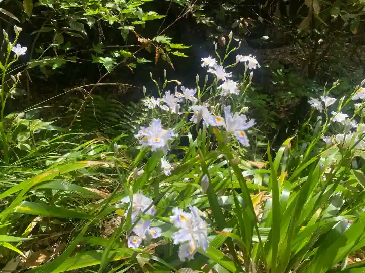 施福寺の{uncategorized: "未分類", other: "その他", undefined: "問題あり", building: "その他建物", grave: "お墓", sacred_gate: "鳥居", guardian: "狛犬", statue: "像", buddha: "仏像", history: "歴史", nature: "自然", garden: "庭園", animal: "動物", pagoda: "塔", temizu: "手水舎", mountain_gate: "山門・神門", sanctuary: "本殿・本堂", subordinate: "末社・摂社", art: "芸術", scenery: "景色", jizo: "地蔵", ema: "絵馬", goshuin: "御朱印", omikuji: "おみくじ", items: "授与品その他", amulet: "お守り", goshuincho: "御朱印帳", eats: "食事", festival: "お祭り", votive_dance: "神楽", shichigosan: "七五三参", wedding: "結婚式", experience: "体験その他", initially: "初詣", around: "周辺", anti_infection: "感染症対策"}